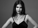 CelesteMaze toy