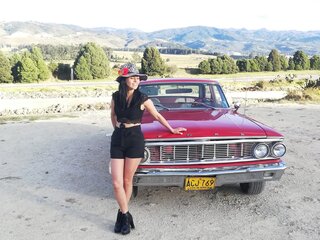 RogueVilla toy